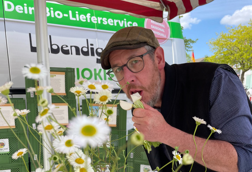 KI generiert: Ein Mann isst Sellerie an einem Marktstand mit Bio-Produkten. Text: "Dein Bio-Lieferservice, Lebendig, Ökokiste".