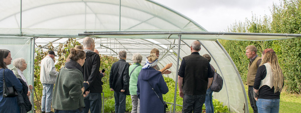 Gruppe vor Folientunnel