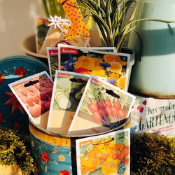 Produktfoto zu Saatgut: 10% Rabatt im Februar »