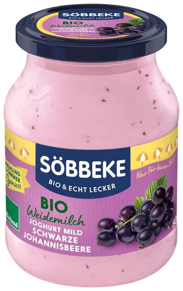 Produktfoto zu Schwarze Johannisbeere Joghurt 500g