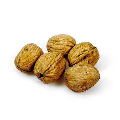 Produktfoto zu Walnüsse "Grenoble" 30_32 -neue Ernte