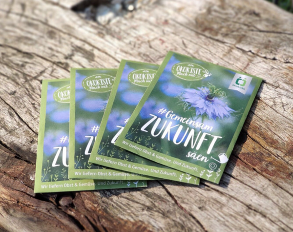 Saattütchen auf Holzbrett