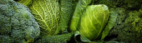 KI generiert: Verschiedene grüne Gemüsesorten, darunter Brokkoli, Wirsing und Kohl.