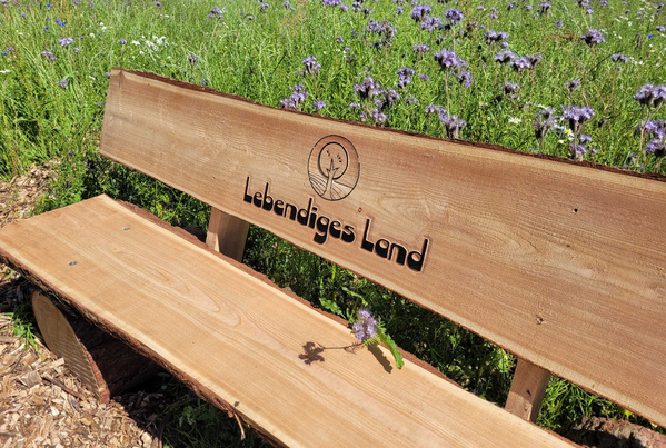 KI generiert: Holzbank mit der Aufschrift "Lebendiges Land" steht in einer blühenden Wiese.