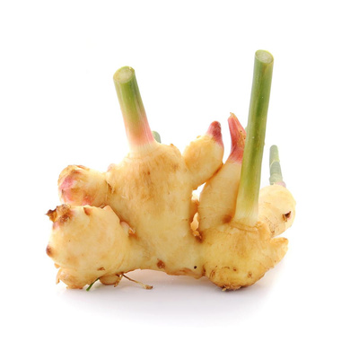 Produktfoto zu regionaler Ingwer, frisch