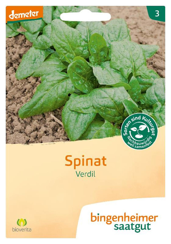 Produktfoto zu Spinat 'Verdil' - Saatgut