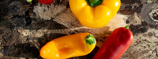 Eine alte Anzeige von Voelkel - Essig: Ein Wundermittel