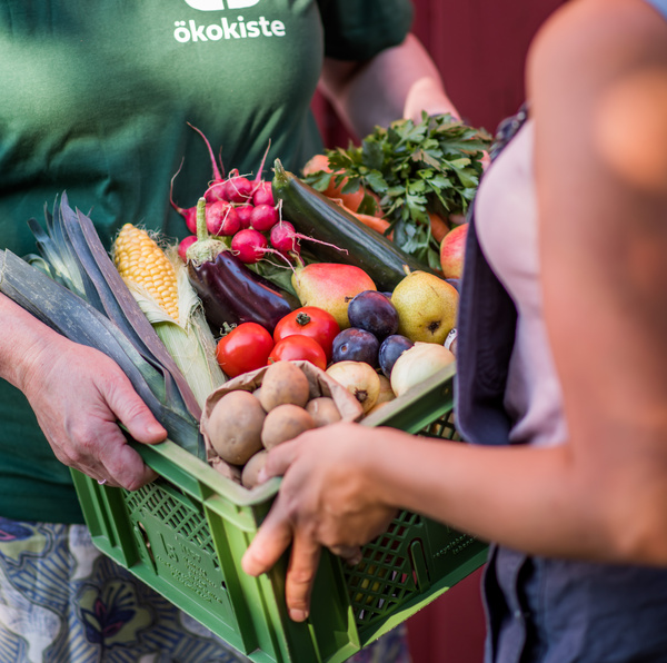KI generiert: Zwei Personen halten eine Kiste voller frischem Obst und Gemüse. Text: "ökokiste".
