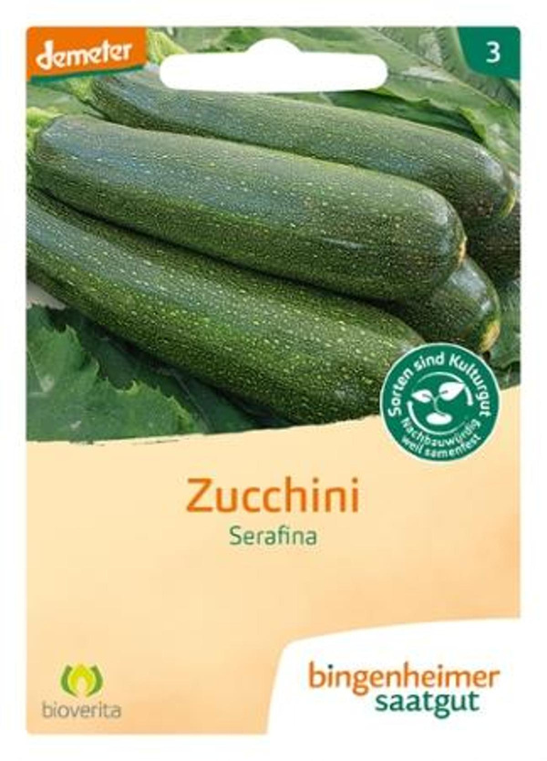 Produktfoto zu Zucchini 'Serafina' - Saatgut