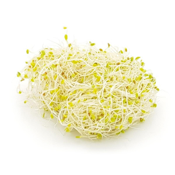 Produktfoto zu Alfalfasprossen 100 g