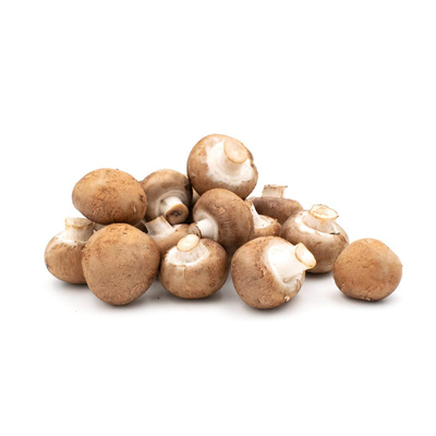 Produktfoto zu Champignons