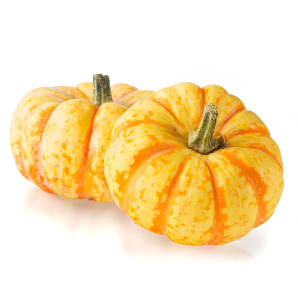 Produktfoto zu Sweet Lightning Kürbis