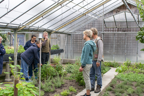 Bodenbearbeitung mit Pferden