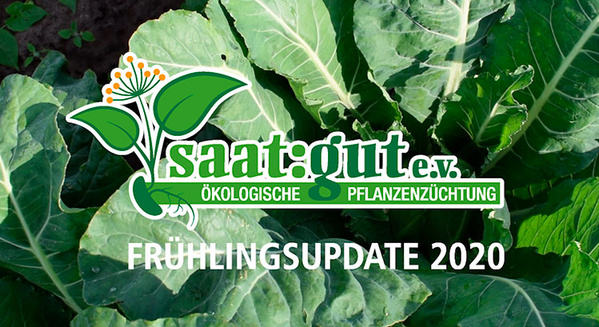 Frühlingsupdate saat:gut e.V.