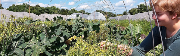 Frau auf Gemüsefeld