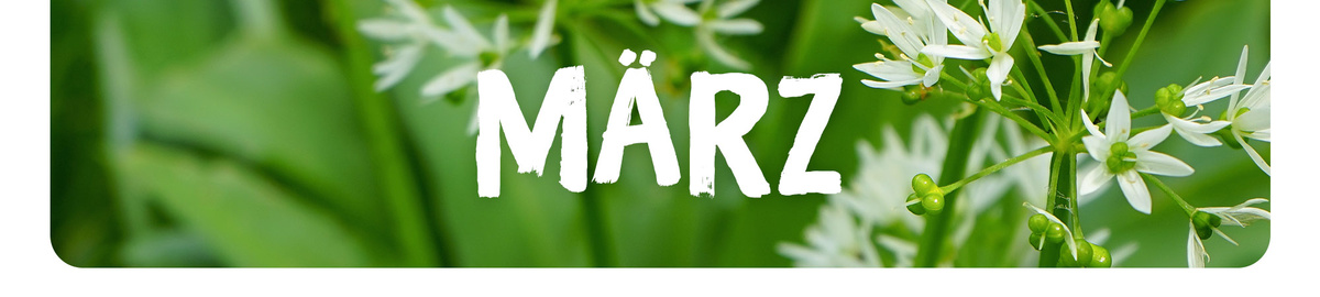 KI generiert: Grüne Pflanzen mit weißen Blüten, darauf der Text: "MÄRZ".