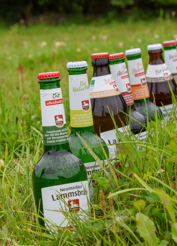 Frisches Gemüse und Obst, wie Chicorée und Grapefruit