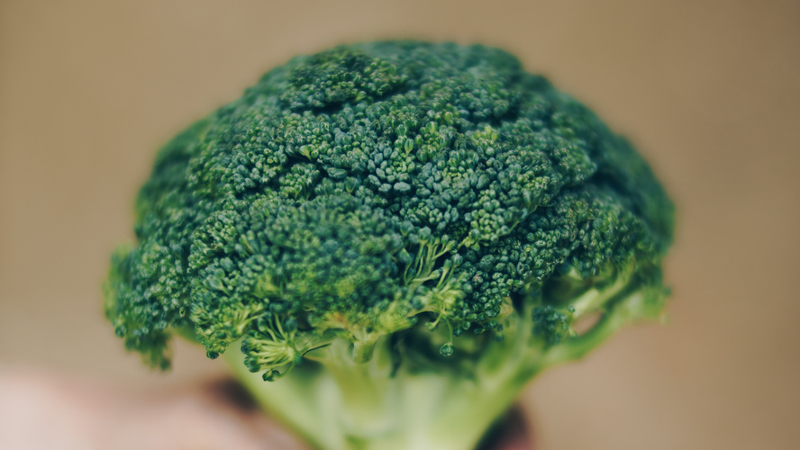 Rezeptbild für Senf-Broccoli-Quiche