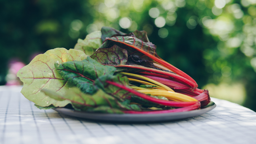 Rezeptbild für Mallorquinischer Mangold-Eintopf