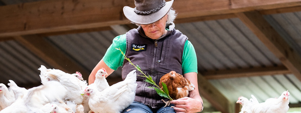 Hof Ankersolt: Anne mit ihren Hennen auf dem Schoß