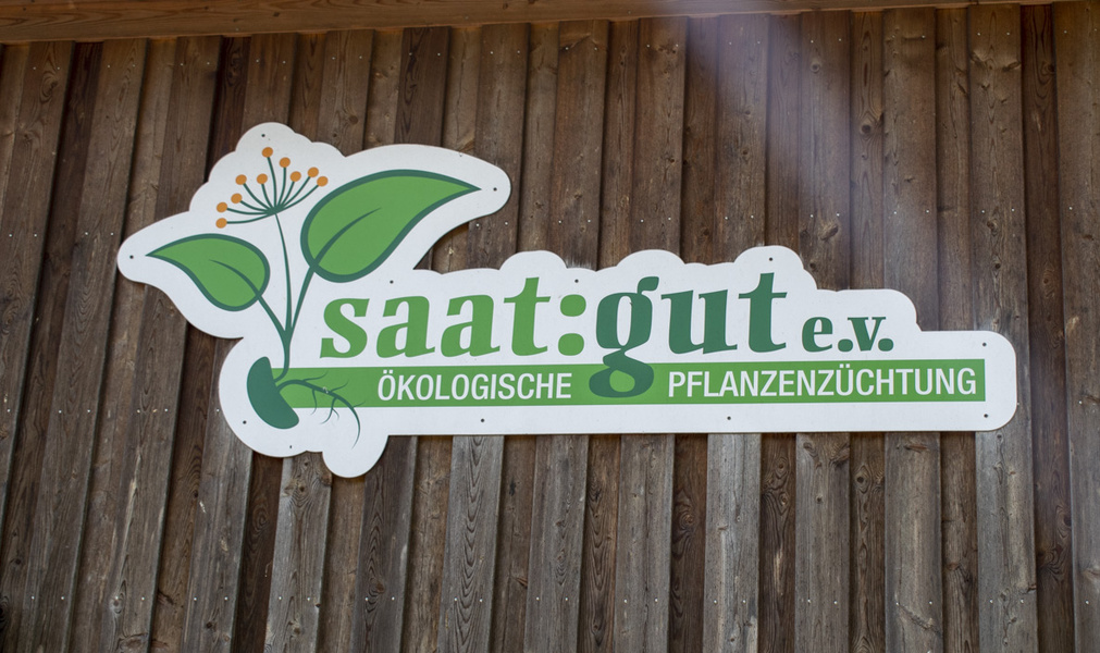 KI generiert: Ein Schild mit der Aufschrift: "saat:gut e.v. ÖKOLOGISCHE PFLANZENZÜCHTUNG".