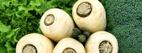 KI generiert: Das Bild zeigt eine Schüssel mit einer cremigen Suppe, garniert mit Kräutern und einigen Pilzen. Im Hintergrund liegen weitere Zutaten wie schwarzwurzelähnliches Gemüse, Kartoffeln und Schalotten.