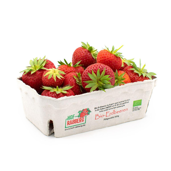 Produktfoto zu Erdbeeren 500g