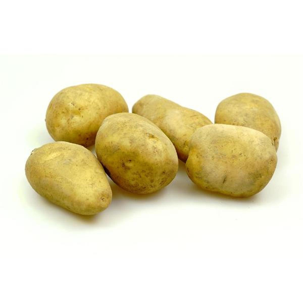 Produktfoto zu Frühkartoffel Gunda mehlig kochend