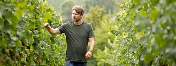 Winzer Alexander Pflüger