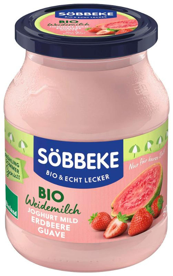 Produktfoto zu Erdbeer-Guave Joghurt 500g