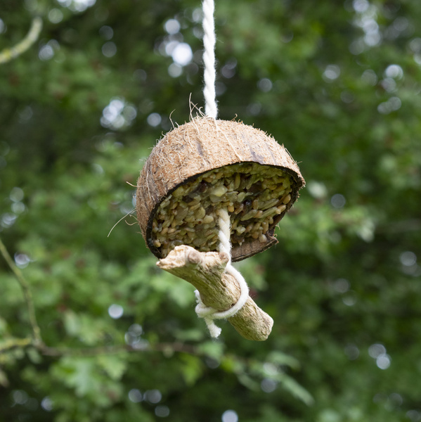 Vogelfutterstelle draußen