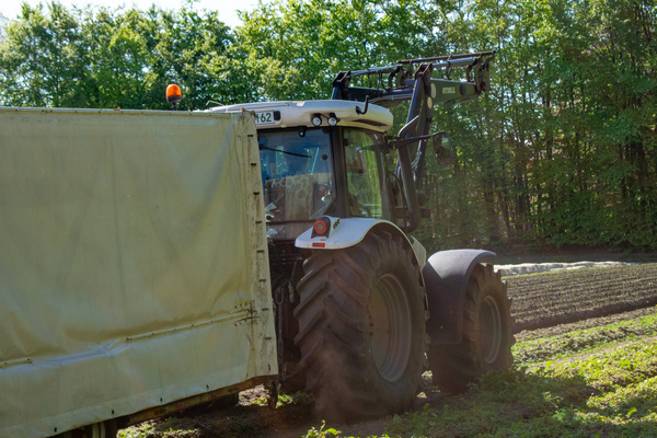 KI generiert: Ein Traktor auf einem Feld neben einem Anhänger, umgeben von Bäumen.