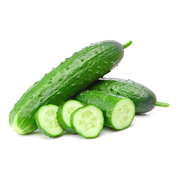 Produktfoto zu Einlegegurke