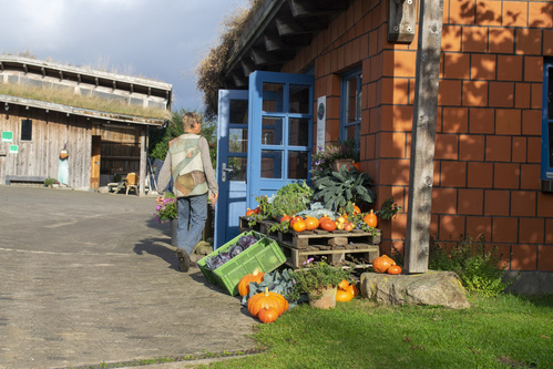 Bodenbearbeitung mit Pferd