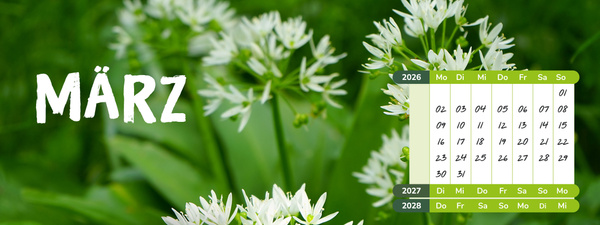 KI generiert: Weiße Blüten vor grünem Hintergrund mit Kalender. Text: "MÄRZ", Kalenderdaten für März 2026-2028.