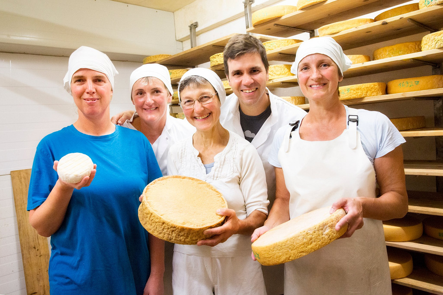 KI generiert: Fünf Personen lächeln in einer Käserei und halten Käselaibe in den Händen.