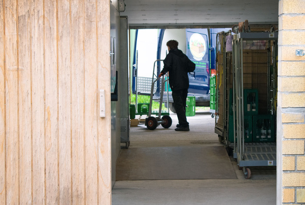 Frisches Gemüse und Obst, wie Chicorée und Grapefruit