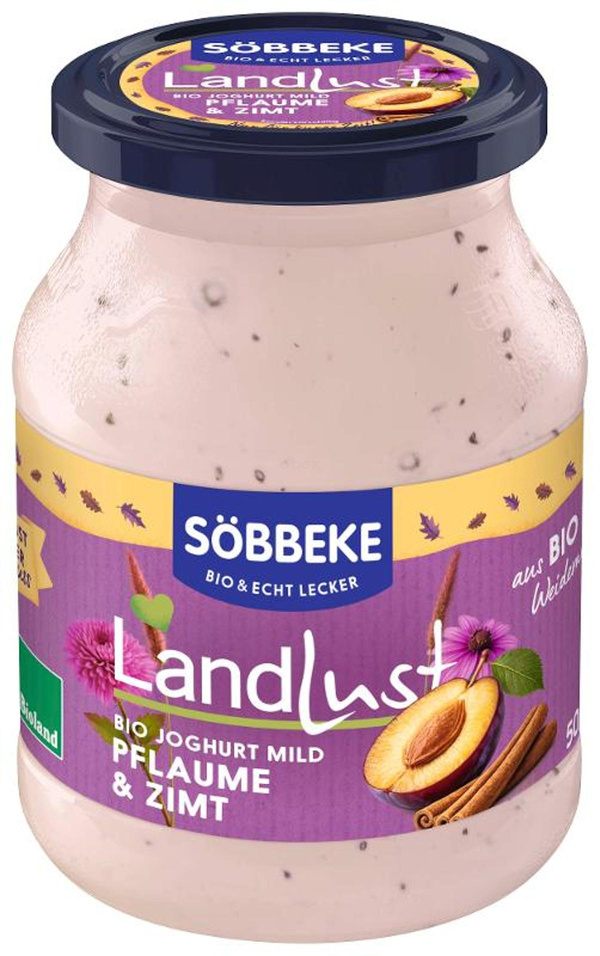 Produktfoto zu Pflaume Zimt Joghurt 500g