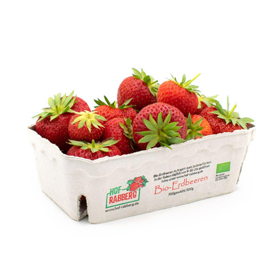 Produktfoto zu Erdbeeren 500g