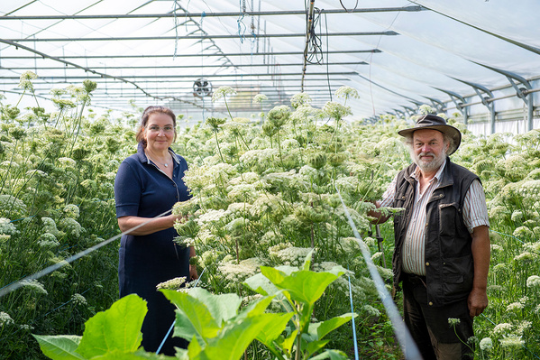 KI generiert: Zwei Personen stehen in einem Gewächshaus voller blühender Pflanzen und lächeln in die Kamera.