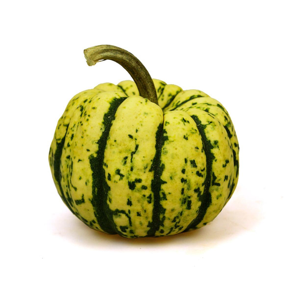 Produktfoto zu Sweet Dumbling Kürbis