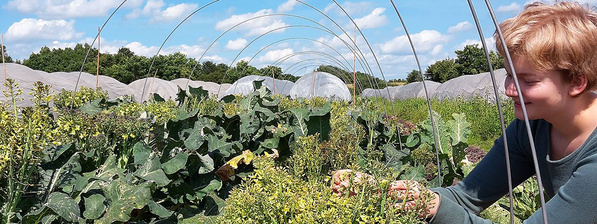 Frau auf Gemüsefeld