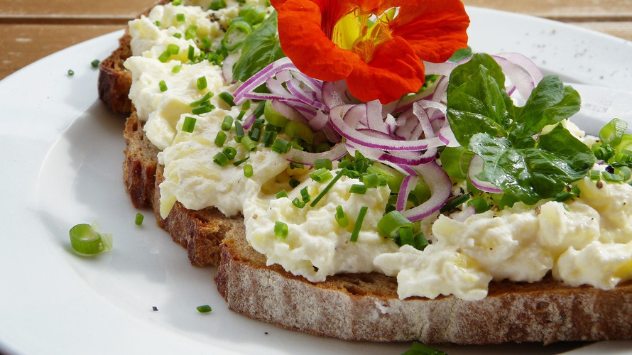 Rezeptbild für Sellerie-Frischkäse-Aufstrich