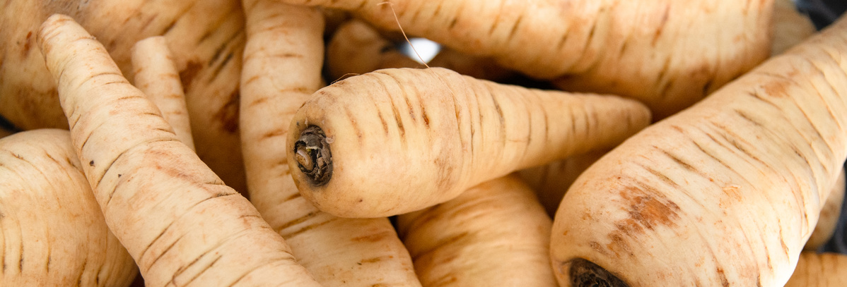 KI generiert: Haufen von Pastinaken in Nahaufnahme ohne Text.