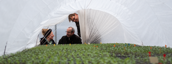 Folientunnel Hof Rabberg