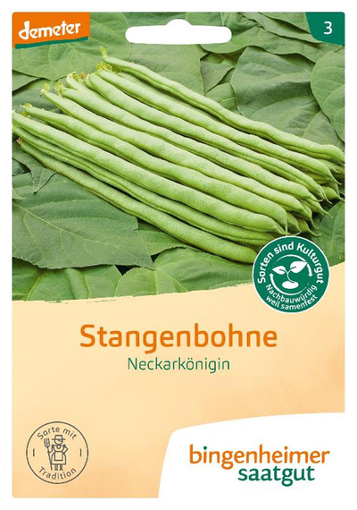Produktfoto zu Stangenbohne 'Neckarkönigin - Saatgut