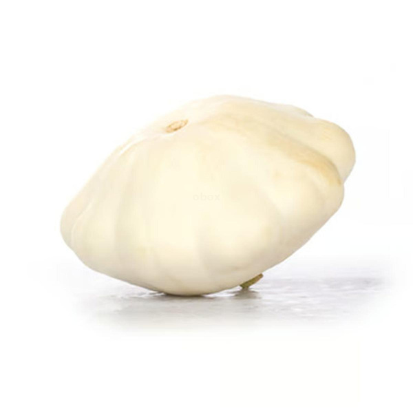 Produktfoto zu Kürbis Ufo Pattison weiß