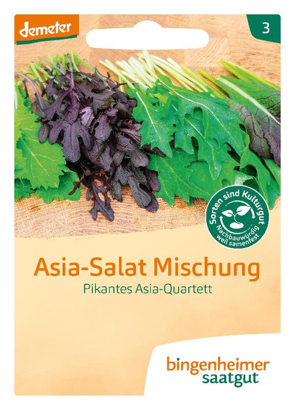 Produktfoto zu Asia-Salat Mischung Pikantes Quartett - Saatgut