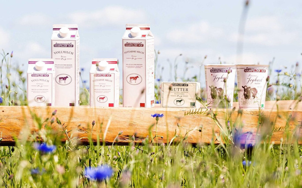 KI generiert: Milch- und Joghurtprodukte auf Holzbalken in einer Wiese. Text: "Hamfelder Hof", "Vollmilch", "Butter".