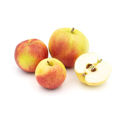 Produktfoto zu Äpfel der Woche - Holsteiner Cox